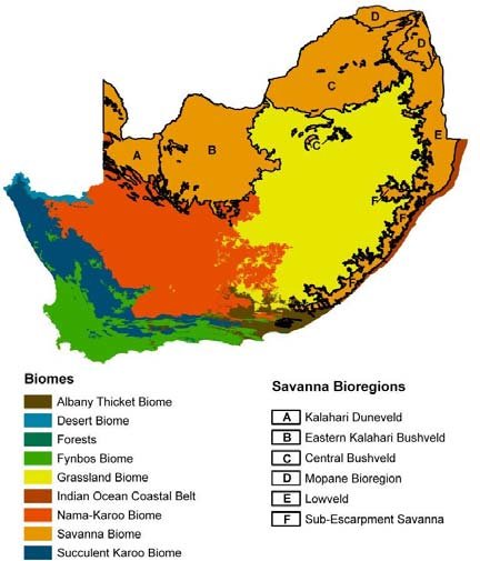 South Africa biomes