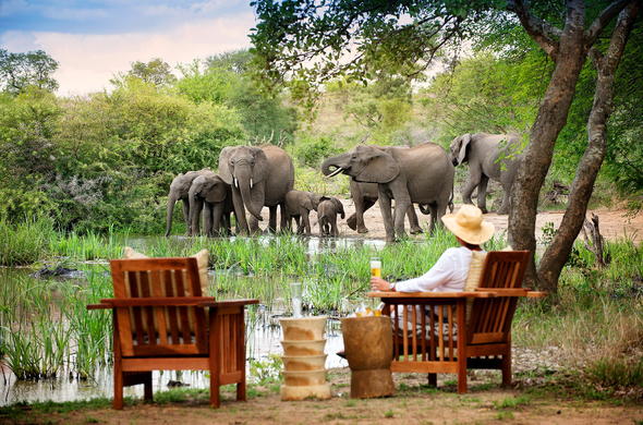 Kruger Park South Africa