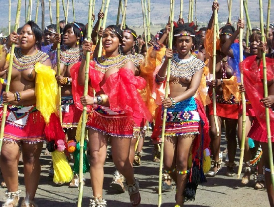 Reed dance